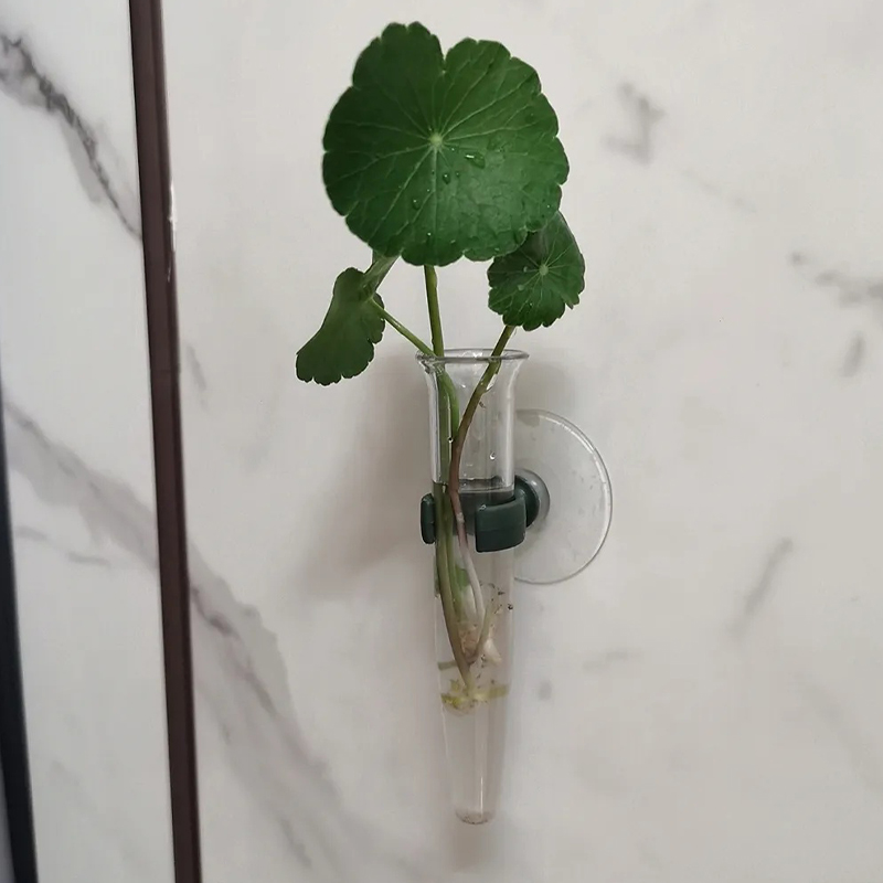 11cm Floral Water Tubes Plasti - Nutrition & Fitness Station 评论和价格