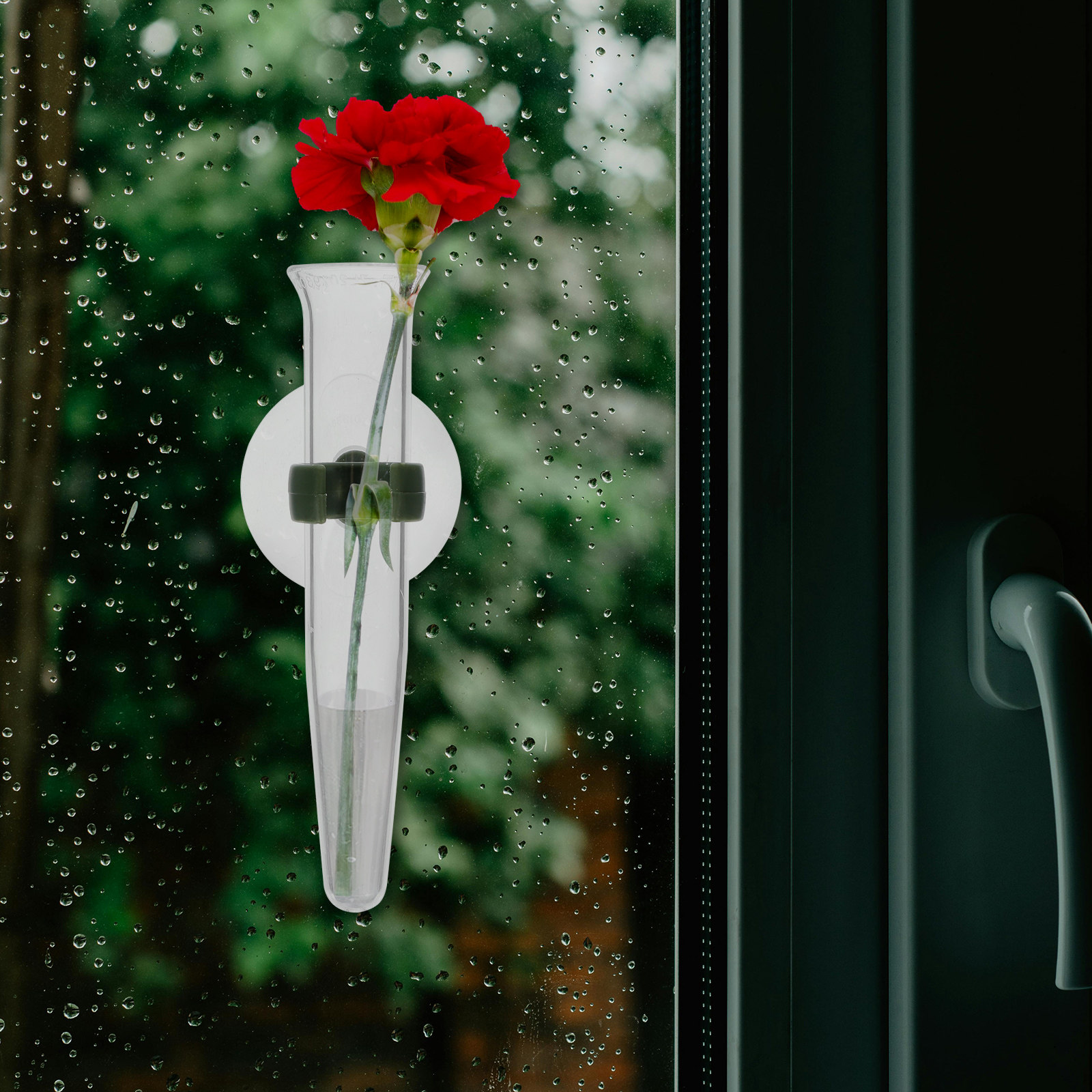 8Pcs Flower Hose Storage Silic - Nutrition & Fitness Station 评论和价格
